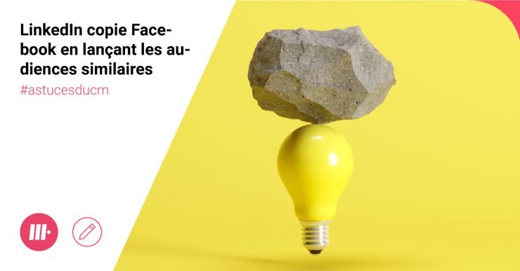 Audiences publicitaires Linkedin